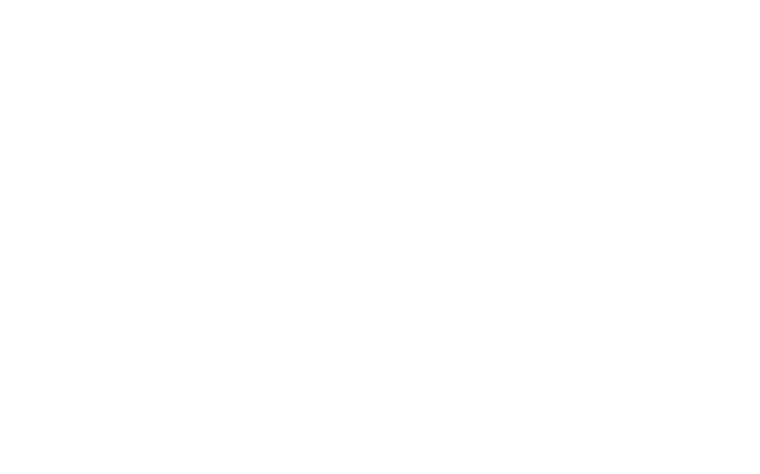 Piacenza Group