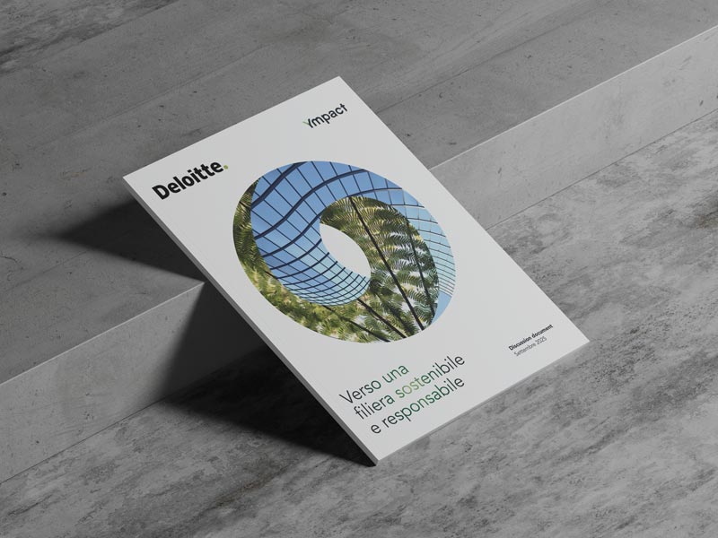 Deloitte CSDDD Playbook